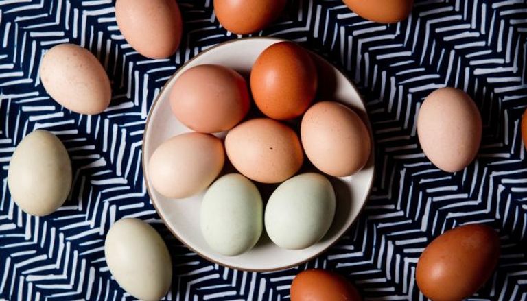 البيض يحافظ على صحة العظام والبشرة والشعر