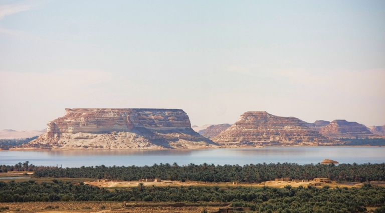 واحة سيوة في مصر - فوربس واحة سيوة في مصر