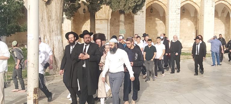 المواجهات مستمرة بين الفلسطينيين والجيش الإسرائيلي بالأقصى