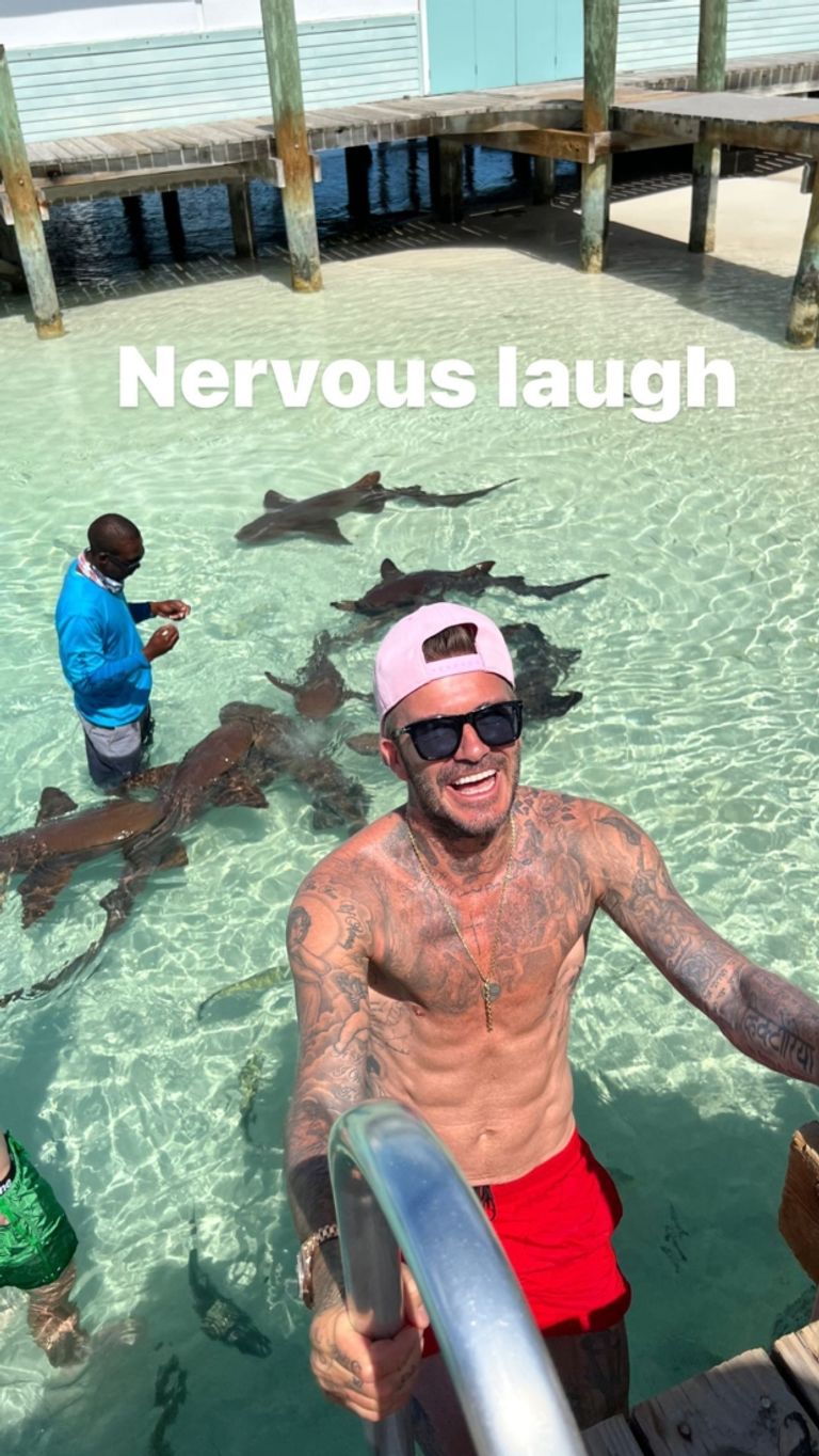 بيكهام مع أسماك القرش ديفيد بيكهام مع أبنائه