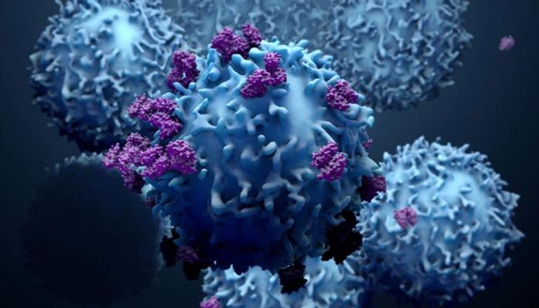 الخلايا التائية الفطرية تخترق الأنسجة حيث يختبئ السرطان