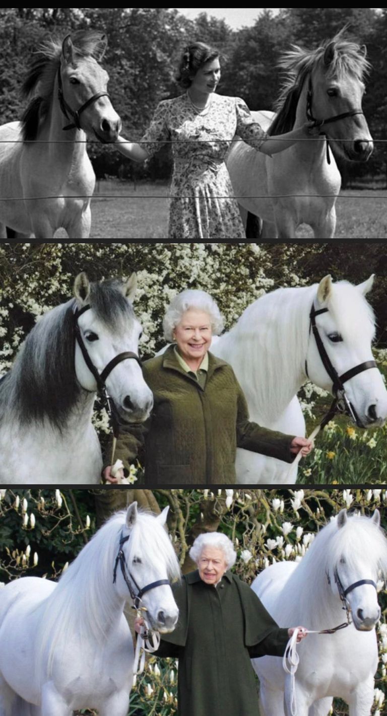 الملكة إليزابيث الثانية