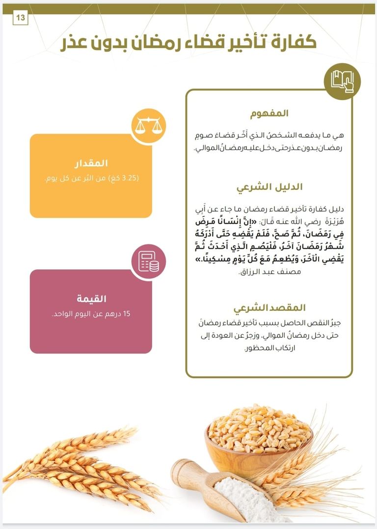 الشيخ عبدالله بن بيه رئيس مجلس الإمارات للإفتاء الشرعي