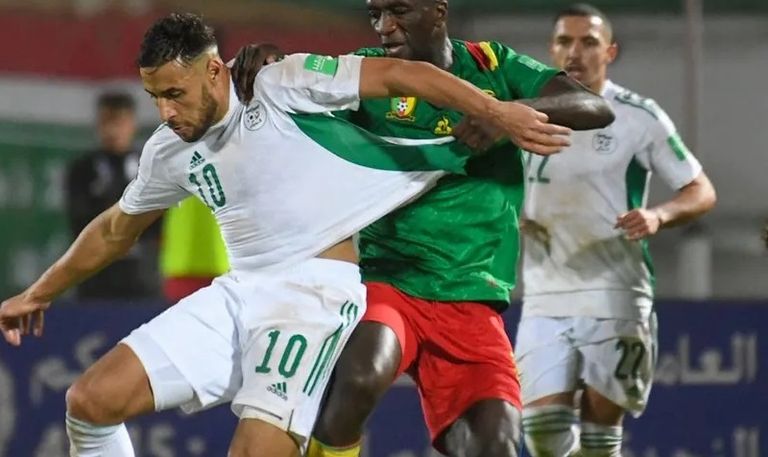مباراة الجزائر ضد الكاميرون