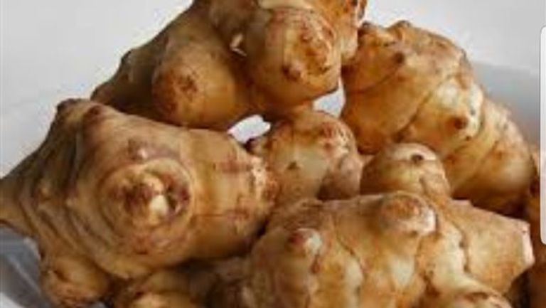 نبات الطرطوفة