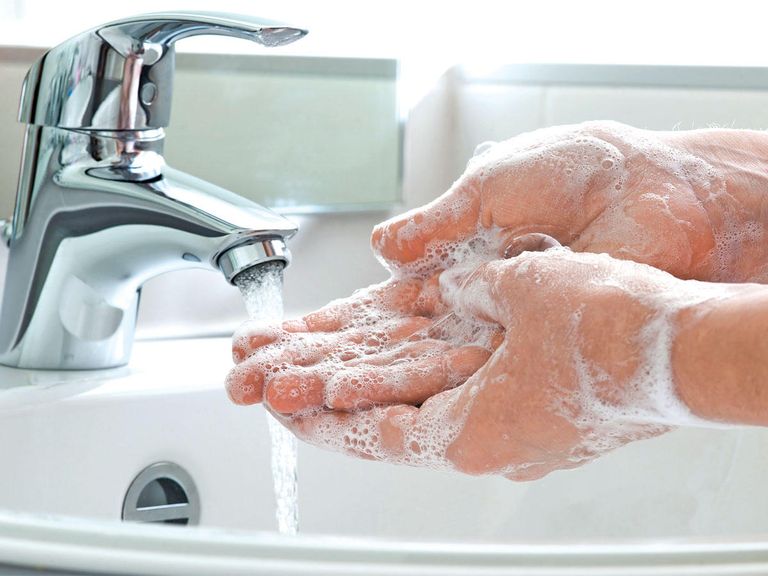 عدوى الشيغيلا تنتقل عن طريق أكثر من وسيلة