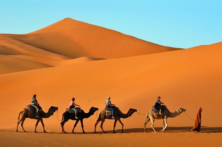 باب المنصور