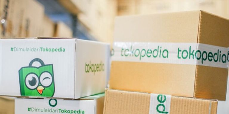 المطور الإندونيسي ويليام تانويجايا