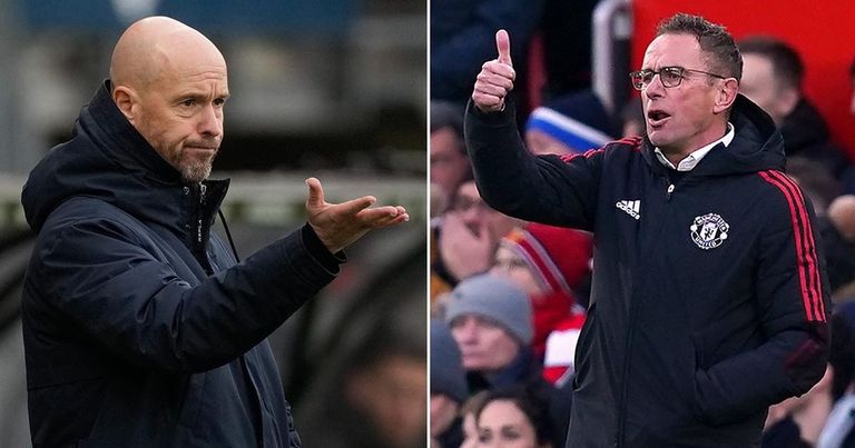 تين هاج ورانجنيك هاري ماجواير