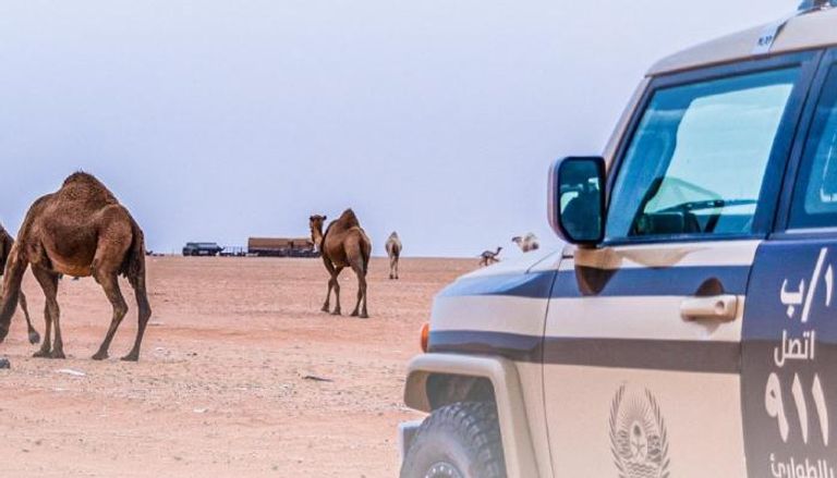 سيارة تابعة للقوات الخاصة للأمن البيئي في السعودية - أرشيفية