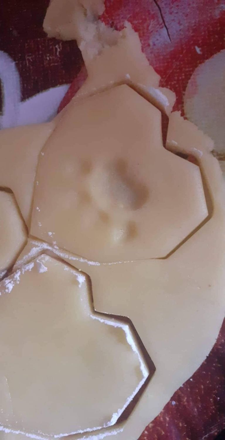 قطة تفسد حلوى العيد في الجزائر قطة ترتدي ملابس جديدة بمناسبة عيد الفطر