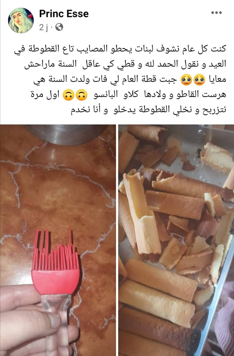 قطة تفسد حلوى العيد في الجزائر قطة ترتدي ملابس جديدة بمناسبة عيد الفطر