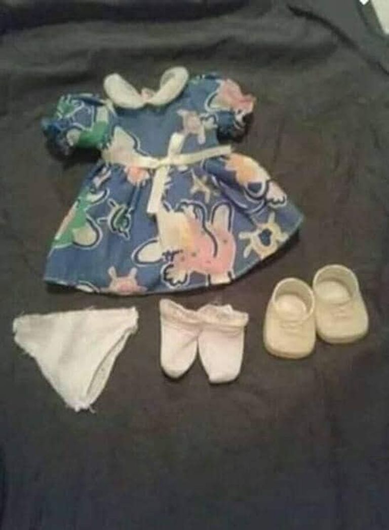 ملابس العيد لقطة في الجزائر قطة ترتدي ملابس جديدة بمناسبة عيد الفطر