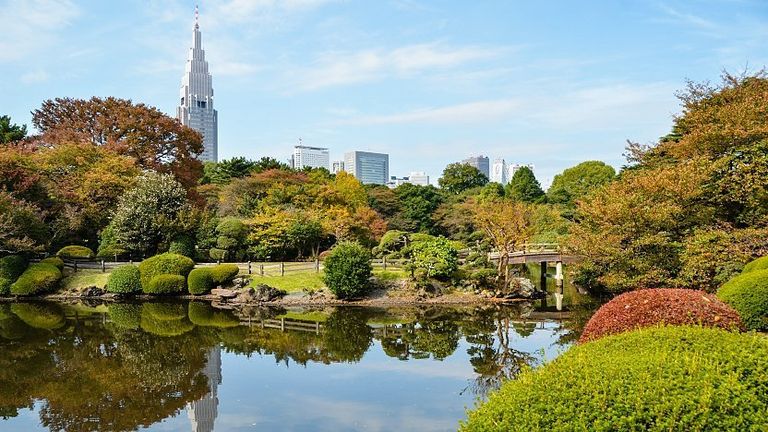 حديقة Shinjuku Gyoen National Garden حديقة Central Park
