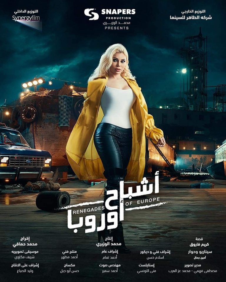 هيفاء وهبي في مشهد من الفيلم