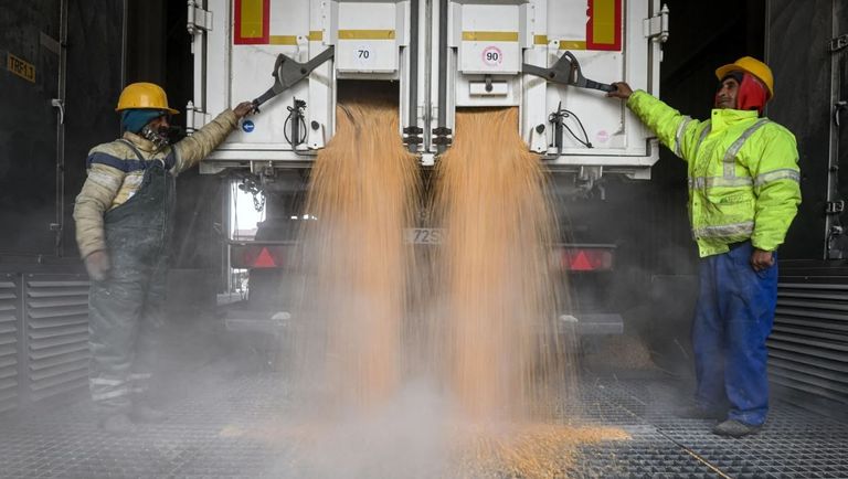 مرفأ روماني مطل على البحر الأسود ينشط في تصدير المحاصيل الأوكرانية مرفأ روماني مطل على البحر الأسود ينشط في تصدير المحاصيل الأوكرانية