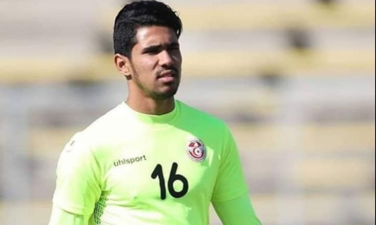 محمد صدقي الدبشي