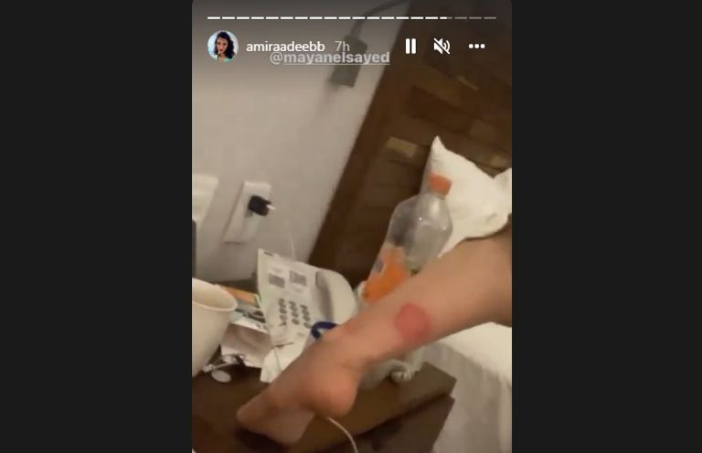 مايان السيد وأميرة أديب