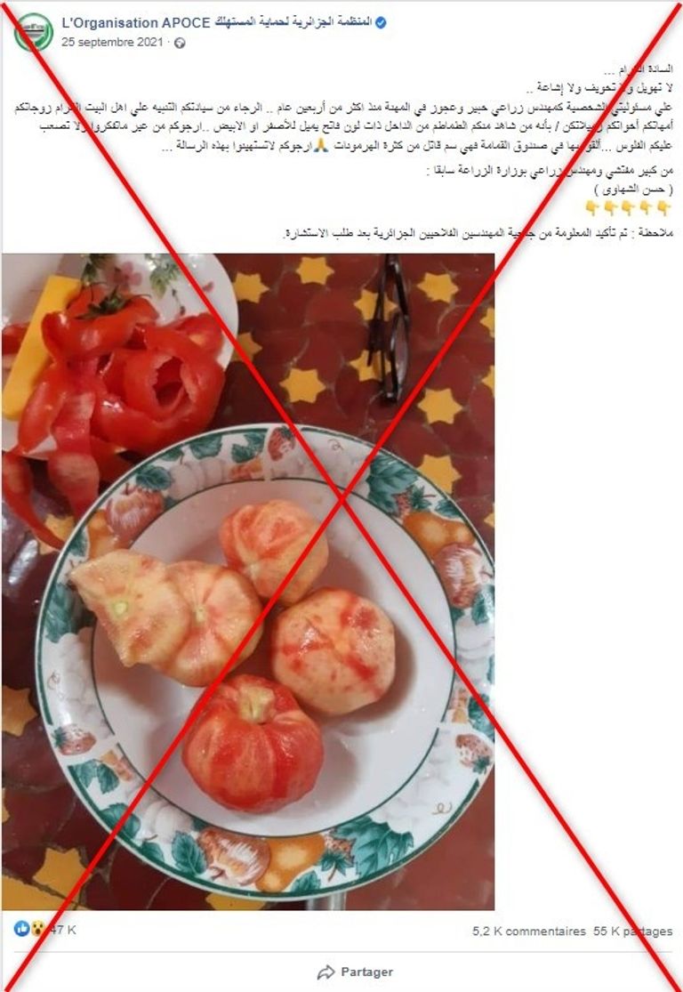 ابيضاض الطماطم لا علاقة له بالهرمونات