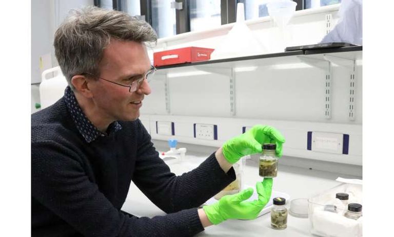 قنفذ النمل الشوكي من المجموعة المكتشفة 