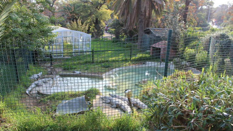 حديقة الحيوانات "البلفيدير" في تونس العاصمة أماكن السياحة في تونس العاصمة.. 5 أماكن سياحية