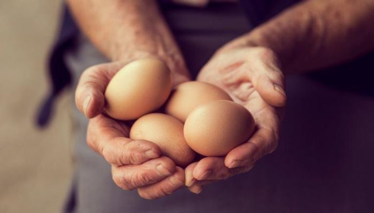 تناول البيض يسبب الإصابة بالانتفاخ وغازات المعدة