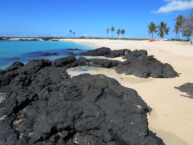 شاطئ تشينديني في جزر القمر