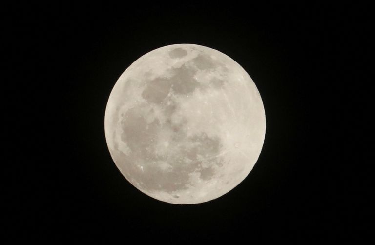 القمر الزهري الدموي العملاق