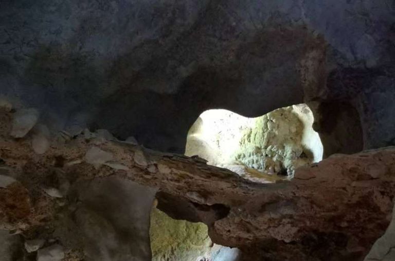 أسنان الطفلة التي يعود عمرها إلى أكثر من 130 ألف عام 