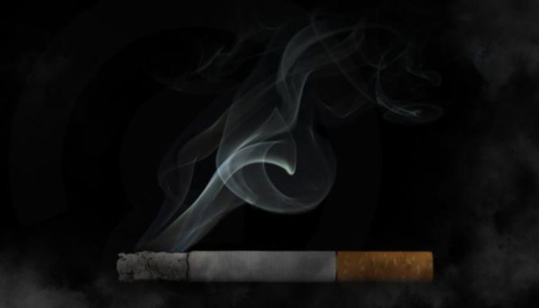 أرقام تكشف مخاطر التدخين على البيئة