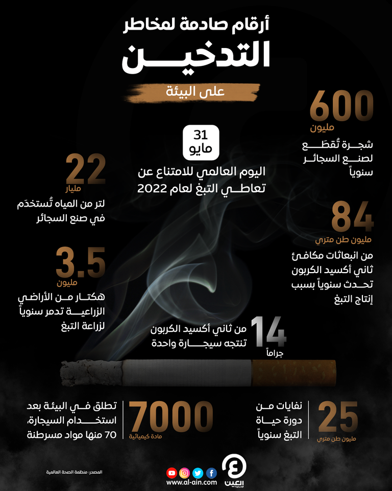 أرقام تكشف مخاطر التدخين على البيئة