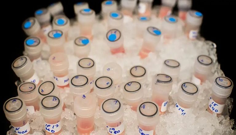 فاكسينيا يستهدف الخلايا السرطانية بشكل مباشر