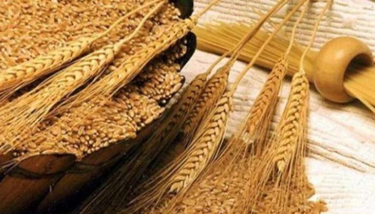 إمدادات القمح آمنة في السعودية