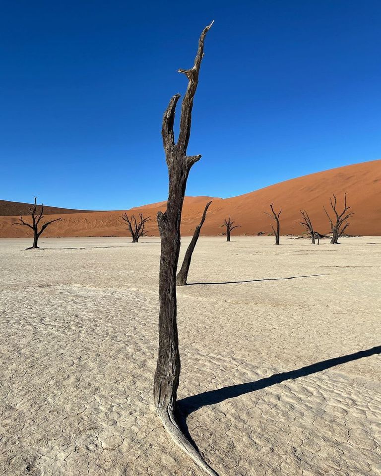 منطقة Deadvlei مستنقعات Fly Geyser