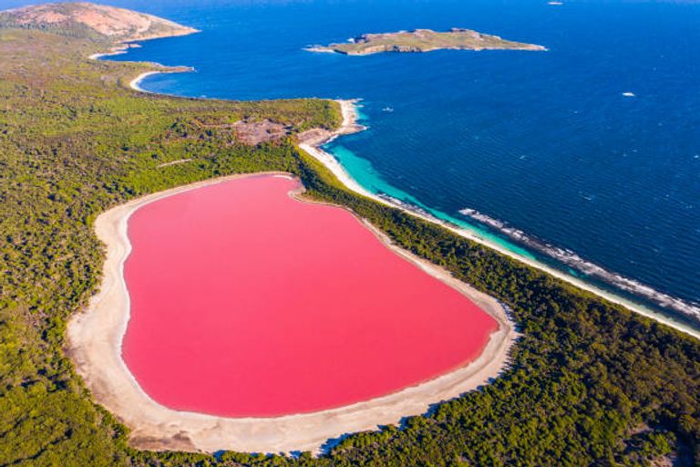 بحيرة Lake Hillier مستنقعات Fly Geyser