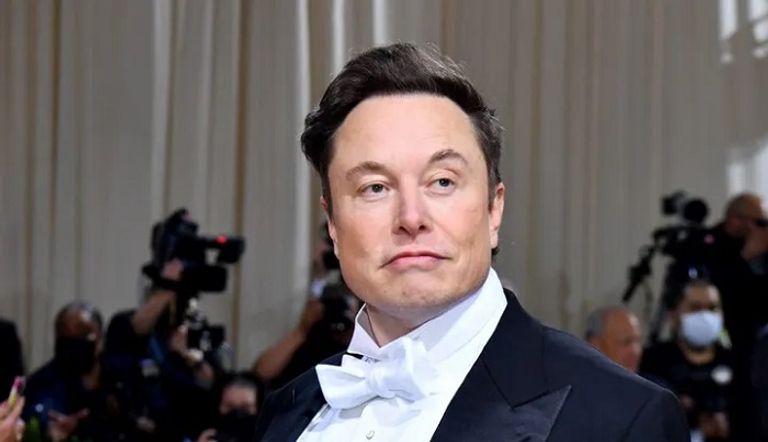 إيلون ماسك