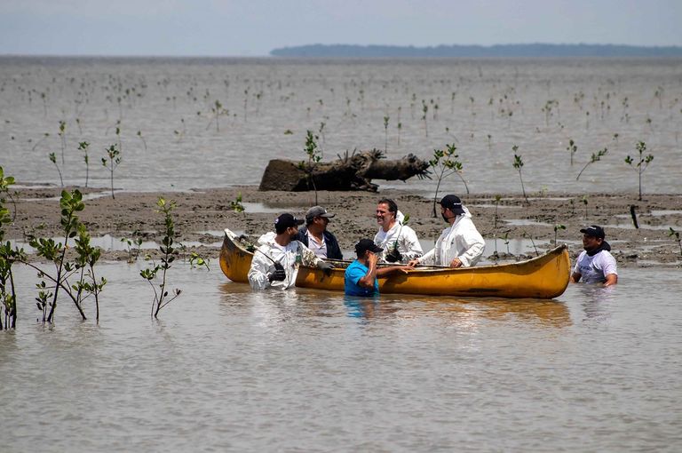 مشروع "غابات المانغروف" بالإكوادور موانئ دبي تحصد جائزة دولية عن مشروع