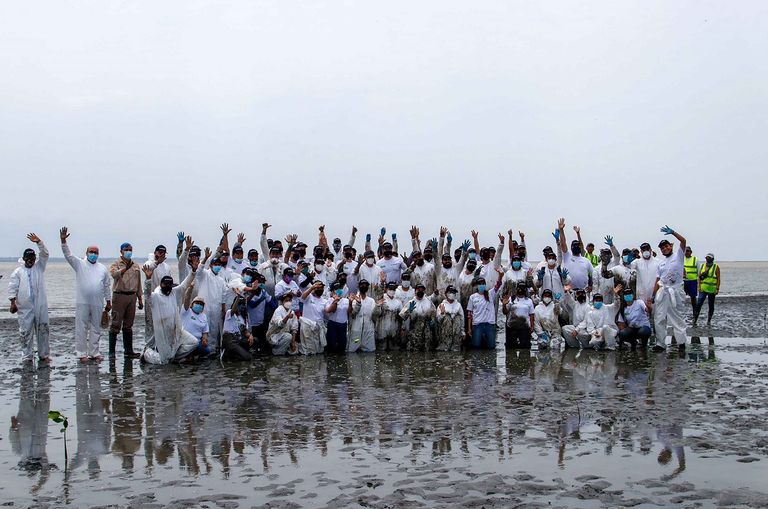 موانئ دبي تحصد جائزة دولية عن مشروع "غابات المانغروف" موانئ دبي تحصد جائزة دولية عن مشروع