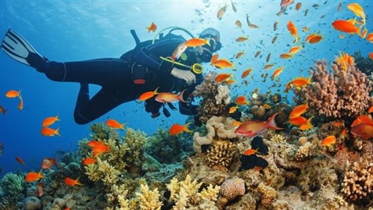 أهرامات الجيزة في مصر