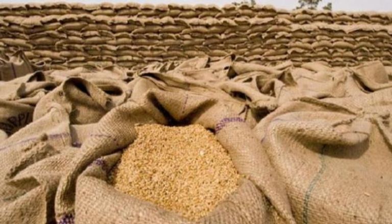 مصر تعلن حجم المخزون الاستراتيجي من القمح