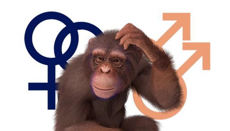 المثلية الجنسية وجدري القرود