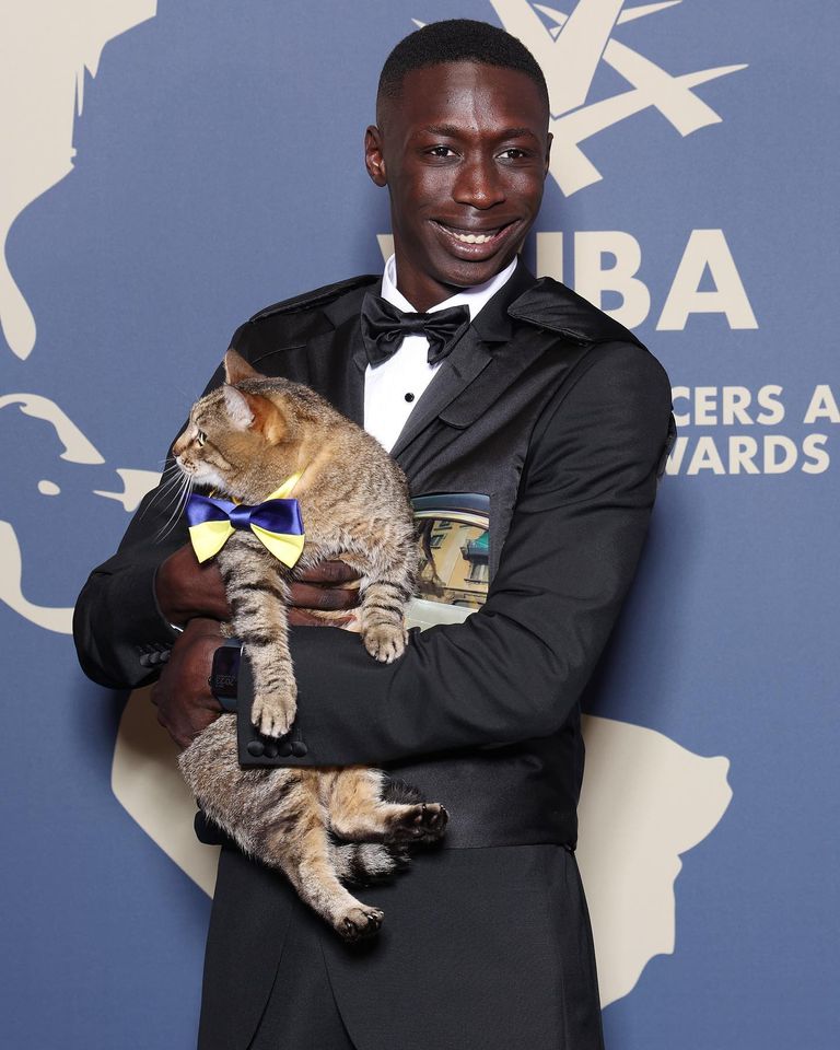 القط المدون الأوكراني ستيبان