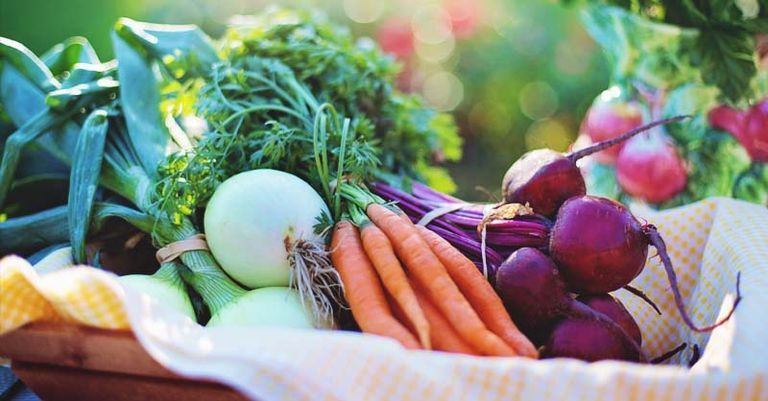 الإفراط في السكريات يؤدي لاضطراب الهرمونات