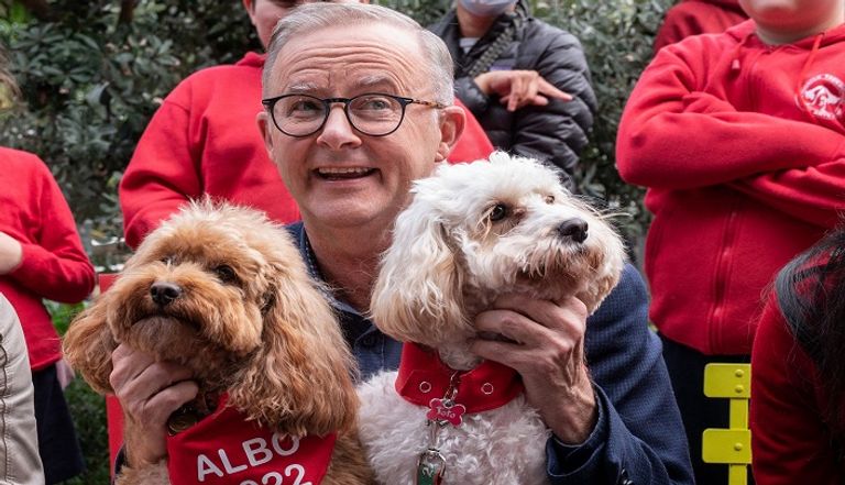 أنتوني ألبانيز