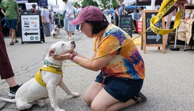 نصف البريطانيين يعطون الأولوية لحيواناتهم