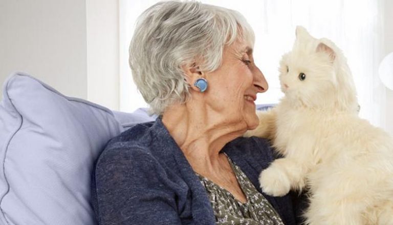 نصف البريطانيين يعطون الأولوية لحيواناتهم