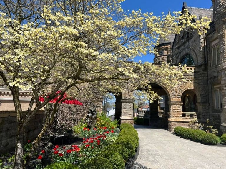 نزل Mansions On Fifth