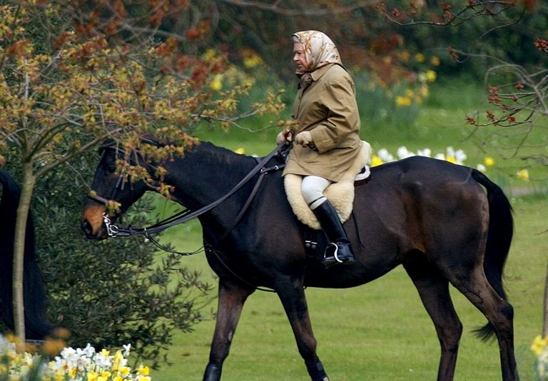 الملكة إليزابيث