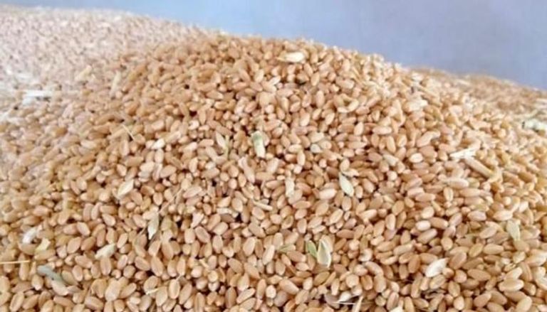 اليمن يؤمن إمدادات القمح