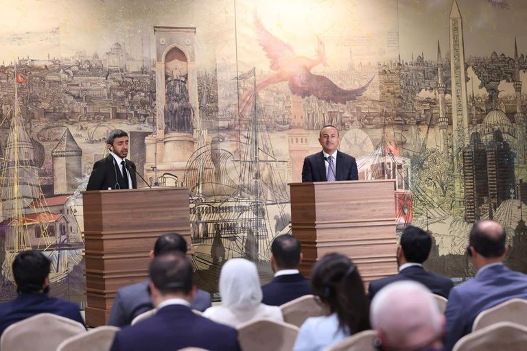 وزيرا الخارجية الإماراتي والتركي وزيرا الخارجية الإماراتي والتركي